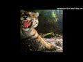 amir.pr0d + lunchbox + 800pts + new jazz type beat prod. axon