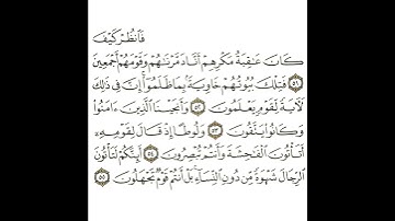 سورة النمل 16 القسم السادس عشر تكرار كيفي من .. فانظر كيف كان عاقبة مكرهم .. إلى .. قوم تجهلون