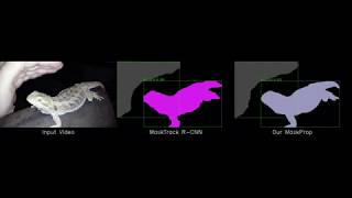 Classifying, Segmenting, and Tracking Object Instances in Video with Mask Propagation