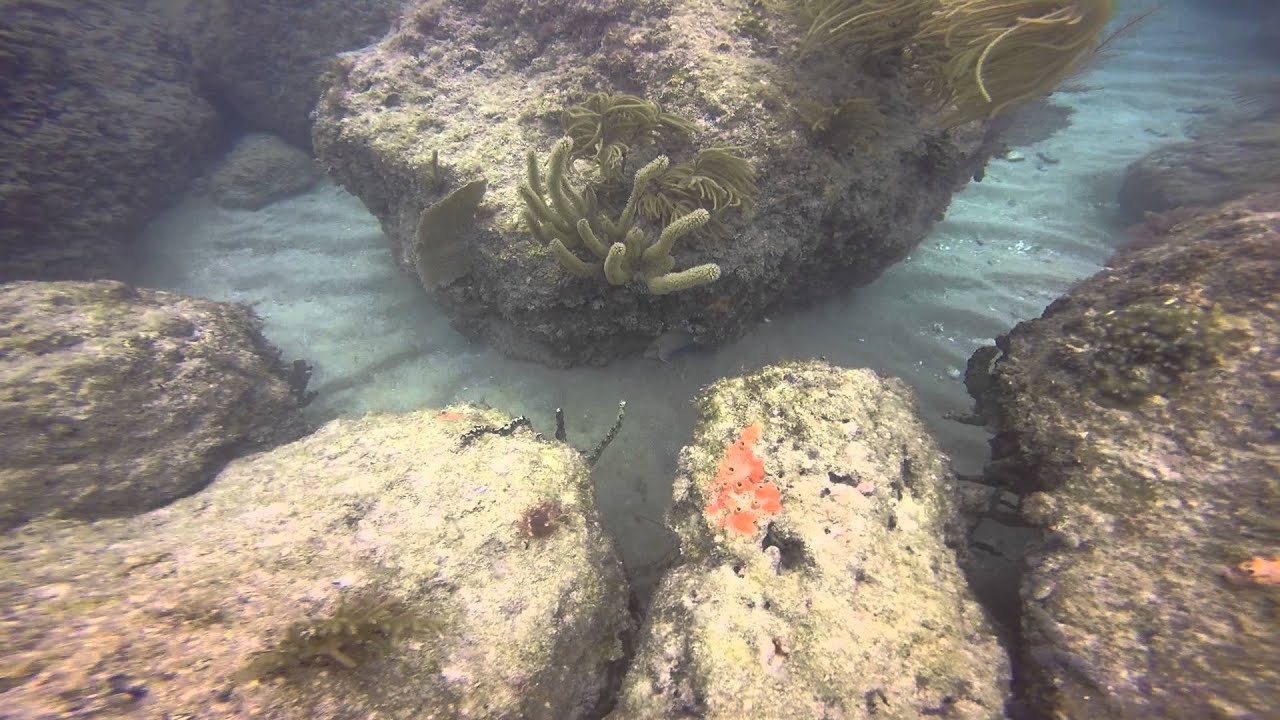 Perry Street Rocks 032815 004