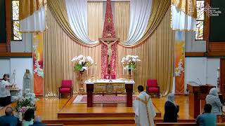 Tuesday of the Seventh Week of Easter