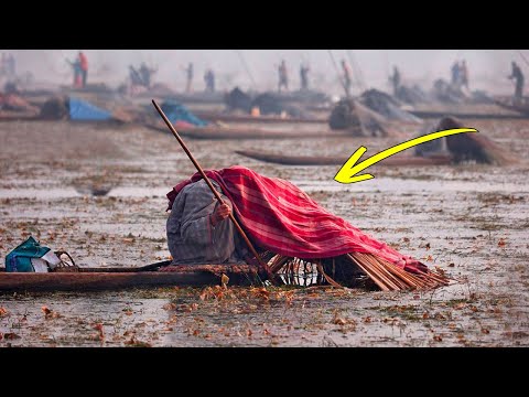 Видео: Вот Зачем Индийские Рыбаки Накрываются Одеялами