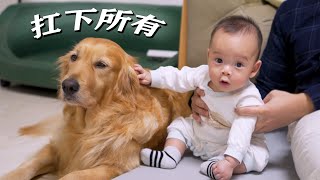 How outrageous is it for a dad to have a baby? Even the dog at home can't stand it...