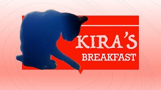 Kiras Breakfast! #Home video, #funnycats, #funnyanimals, #viralvideo
Kiras Breakfast!
#Home video, #funnycats, #funnyanimals, #viralvideo Kiras Breakfast! #Home video, #funnycats, #funnyanimals, #viralvideo