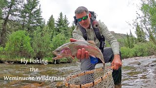Fly Fishing the Weminuche Wilderness - backpacking into a remote stream!