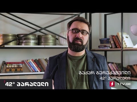 42° პარალელი - ბაქარ ბერეკაშვილის ვიდეო ბლოგების სერია #1 - სახელმწიფოს კრიზისი