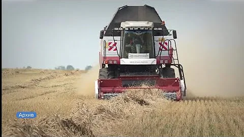 470 тысяч тонн озимых культур собрали с полей Алтайского края