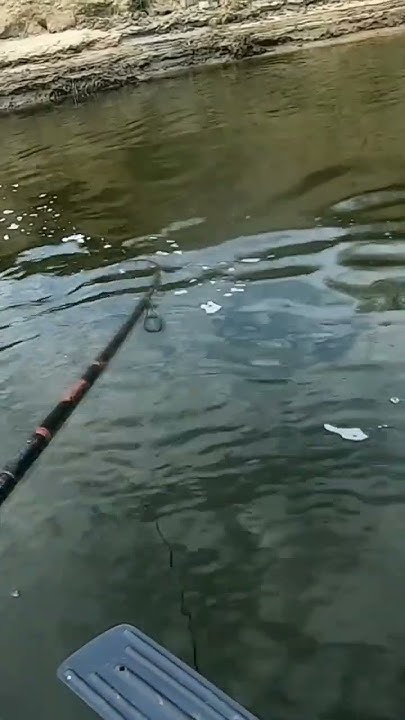 Щось гарненьке!😯 FISHING. Рибалка. - YouTube