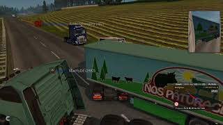 Report #18 - Wrong Way + Ramming [Euro Truck Simulator 2]