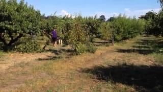 Sauvie Island Farms, Portland, Oregon