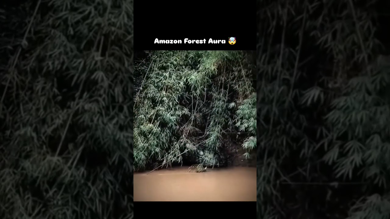 Аура амазонского леса 🤯☠️ 