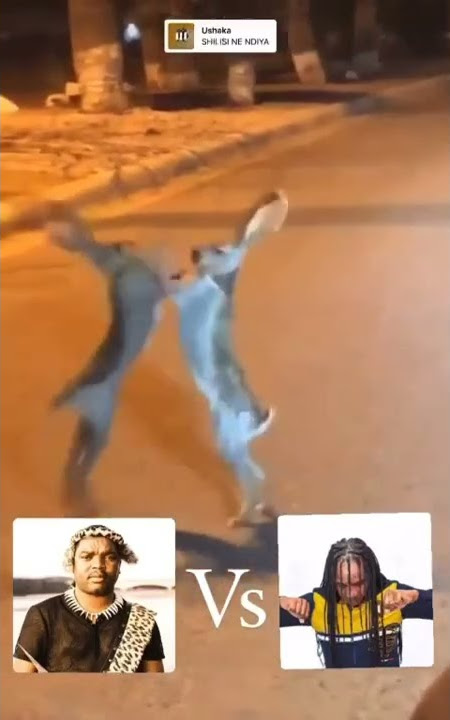 Kusazobamnandi kuloMaskandi wethu 🕺🏻💃😂😂😂