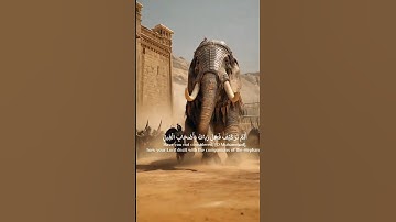 Surat Al-Fil (The Elephant) | Mishary Rashid Alafasy | مشاري بن راشد العفاسي | سورة الفيل