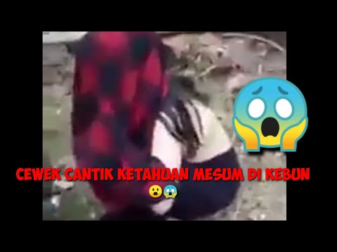 CEWEK CANTIK ketahuan mesum dikebun sawit digrebek warga