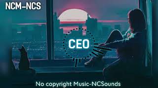 CEO | Royalty Free | No copyright Music-NCSounds