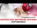 Как получить Сертификат о прослушивании лекций по татуажу? Условия ЗДЕСЬ