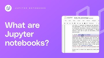 What are Jupyter Notebooks? (AI Programming with Python)