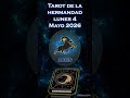 ♈♈aries tarot 4 mayo 2026♈ #horoscopo #floresblancastarot #zodiaco  #gemini #tarot♈♈