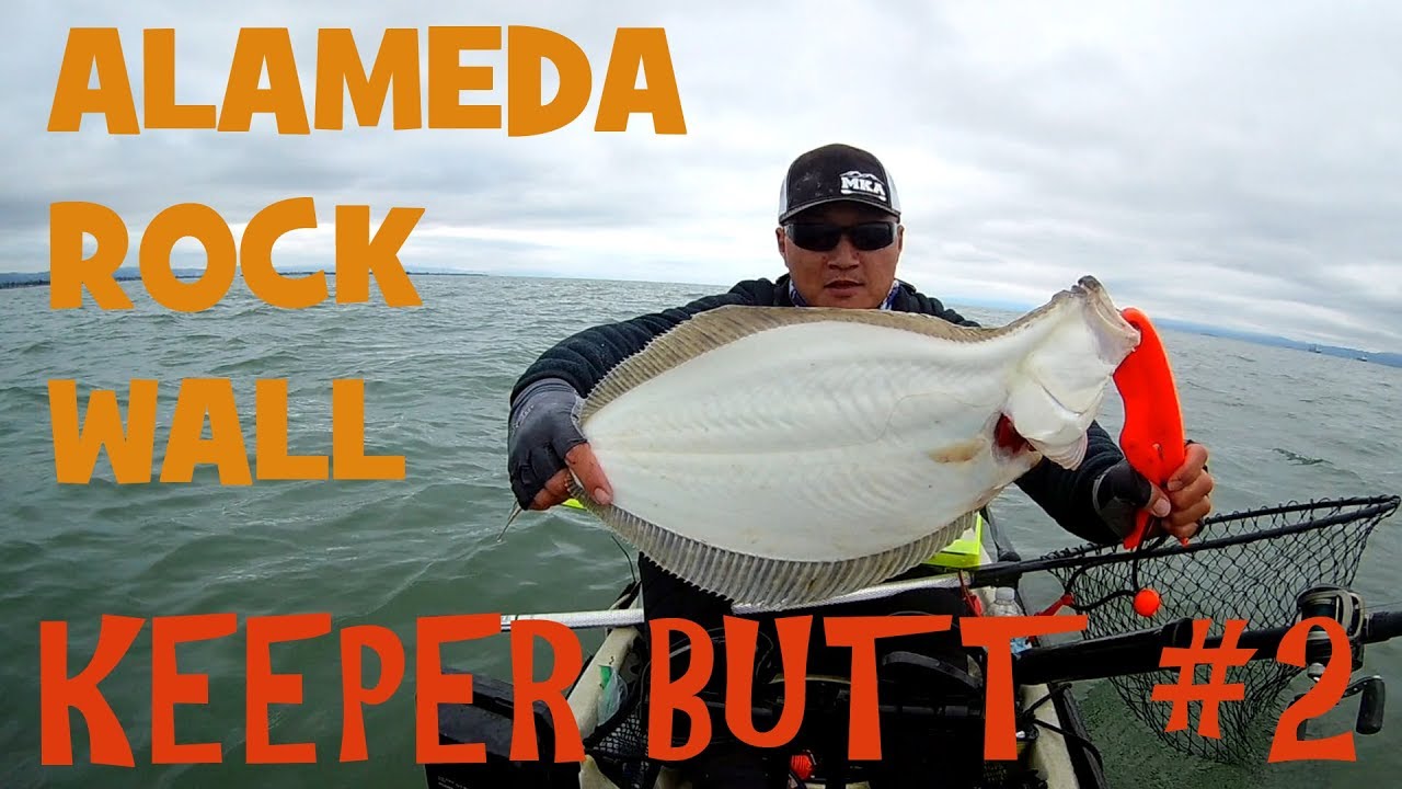 Alameda Rock Wall Halibut Fishing Keeper 2 YouTube