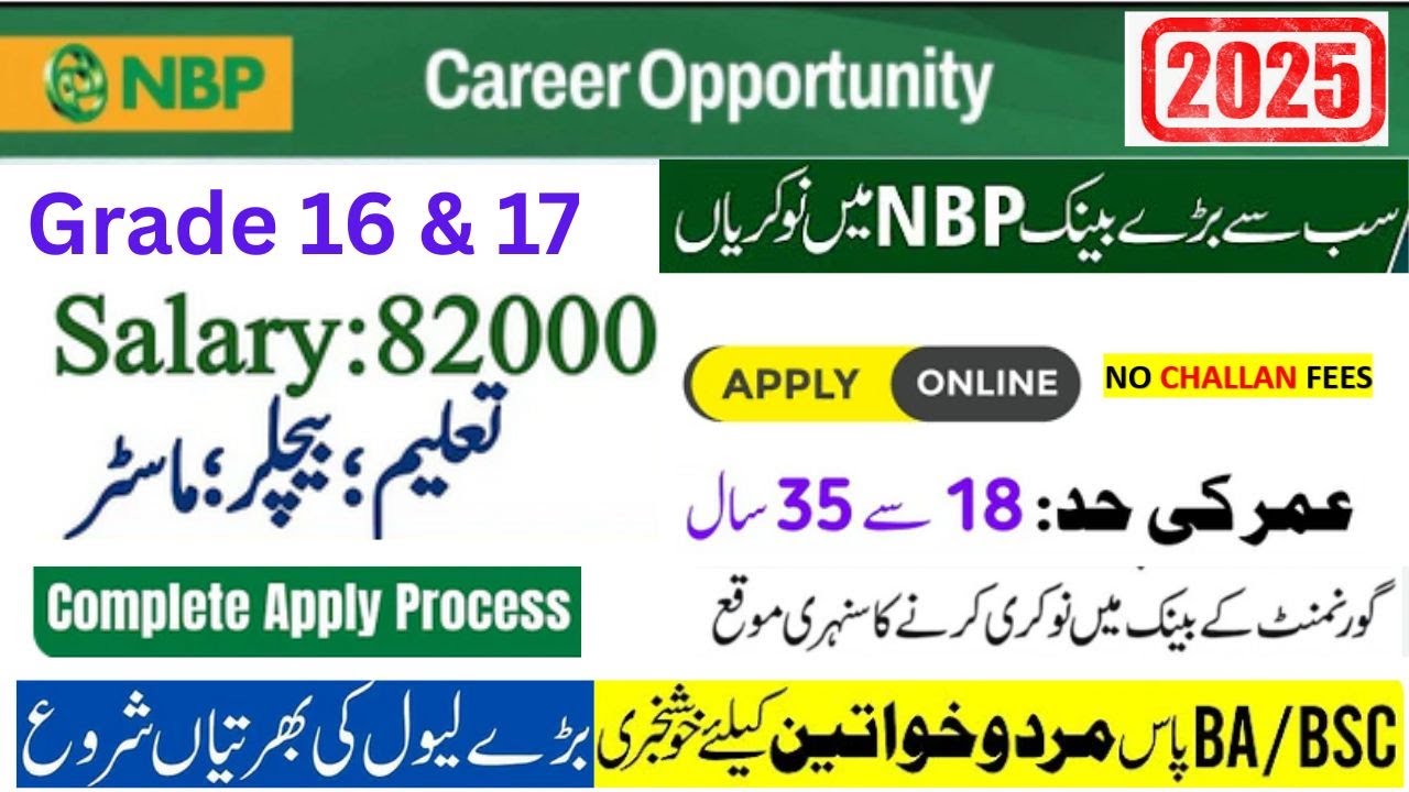 NBP NEW JOBS BPS 16 & 17 | NBP OG-II-III Jobs 2025 | NBP Jobs apply online