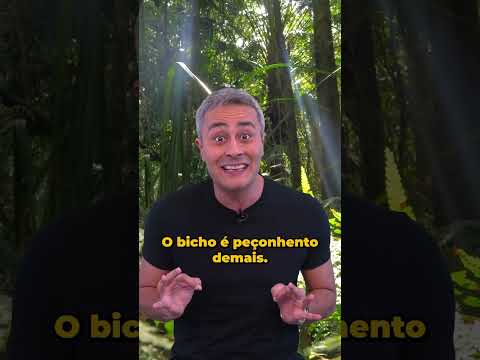 Vídeo: O ornitorrinco põe ovos? Como os ornitorrincos se reproduzem? Fatos interessantes do ornitorrinco