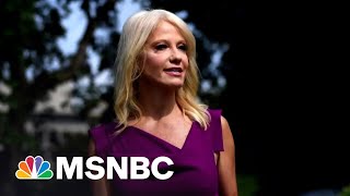 Why Kellyanne Conway could be an ‘incredibly valuable’ witness against Trump