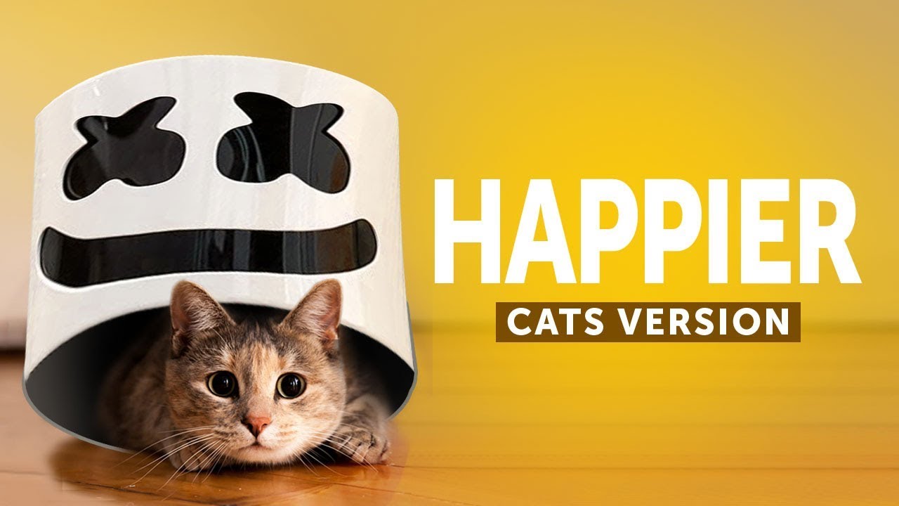 Cats  Dogs Sing Happier - Marshmello (Animals Cover)