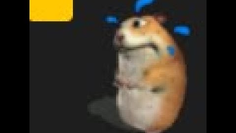 How to get Sweating Chomik