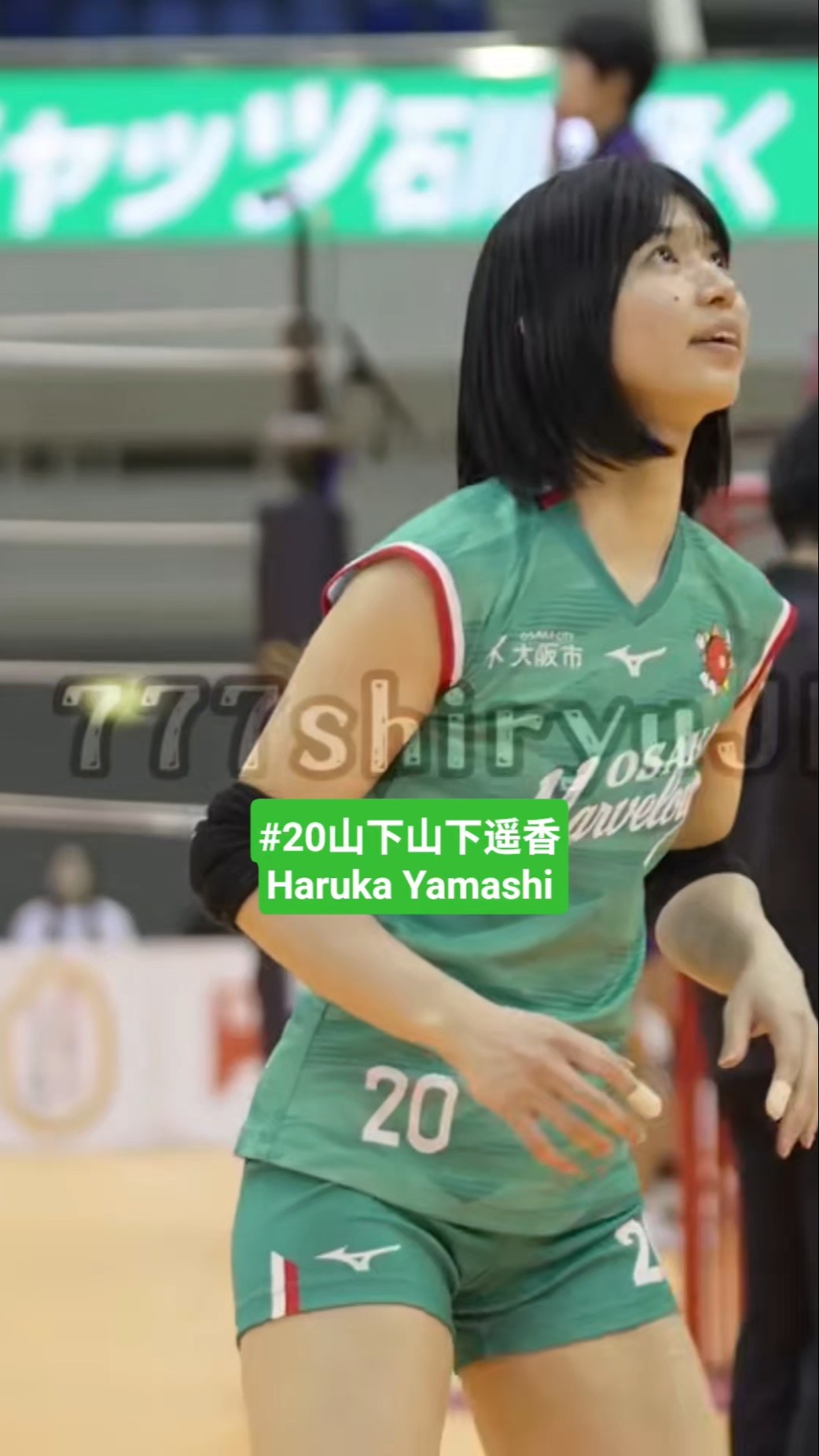 SVリーガー🏐レギュラーシーズン🏆️大阪マーヴェラス⑳セッター