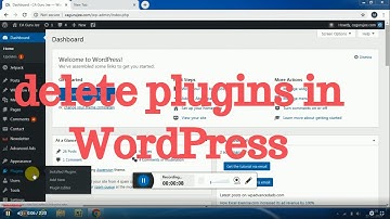 How to delete plugins in WordPress