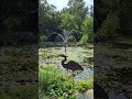 Defres Garden New Paris IN