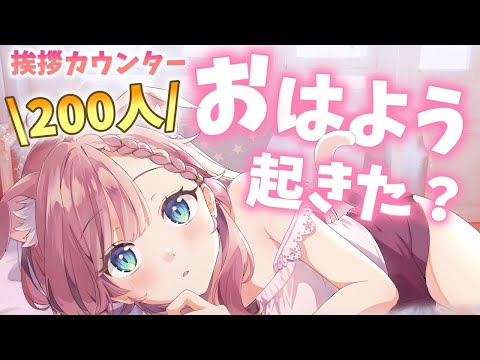 【 雑談 】初見さん歓迎！お喋りしよ！200人と挨拶するカウンター配信【 ＃Vtuber ねこっくす猫派  ＃朝活 #ねこすとりーむ 】