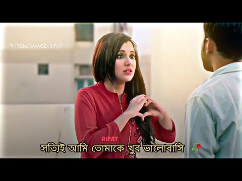 ভিডিও: তুমি কি পাগলামি মানে?