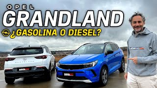 Opel Grandland 2023 130 CV  Which engine to choose, gasoline or diesel?