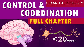 #controlandcoordination full chapter | cbse Class 10th Biology | NCERT class 10 science chapter 7