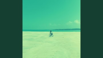 Magnificent Ambience for Irie Vibes