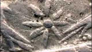 Tigranakert: An Armenian Odyssey