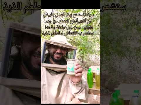 العسل الأبيض النادر من جبال كاياوي من جزر هاواي مع النعناع العضوي عسل الإمارات النحل مناحل