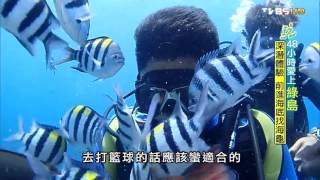 【綠島】深潛體驗前進海底找海龜食尚玩家20150917