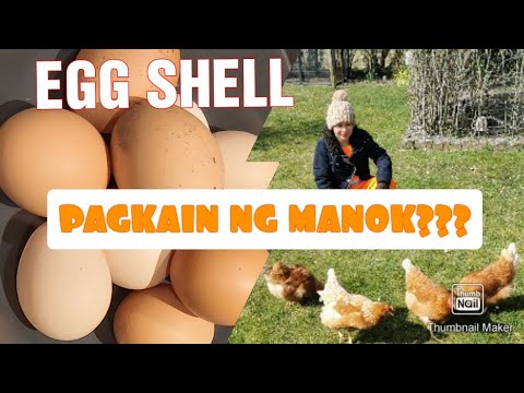 Video: Pagbuburda Sa Mga Egghell Para Sa Mahal Na Araw