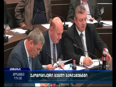 როგორ ჩაიარა ეკონომიკური ბლოკის მინისტრებთან შეხვედრამ პარლამენტში