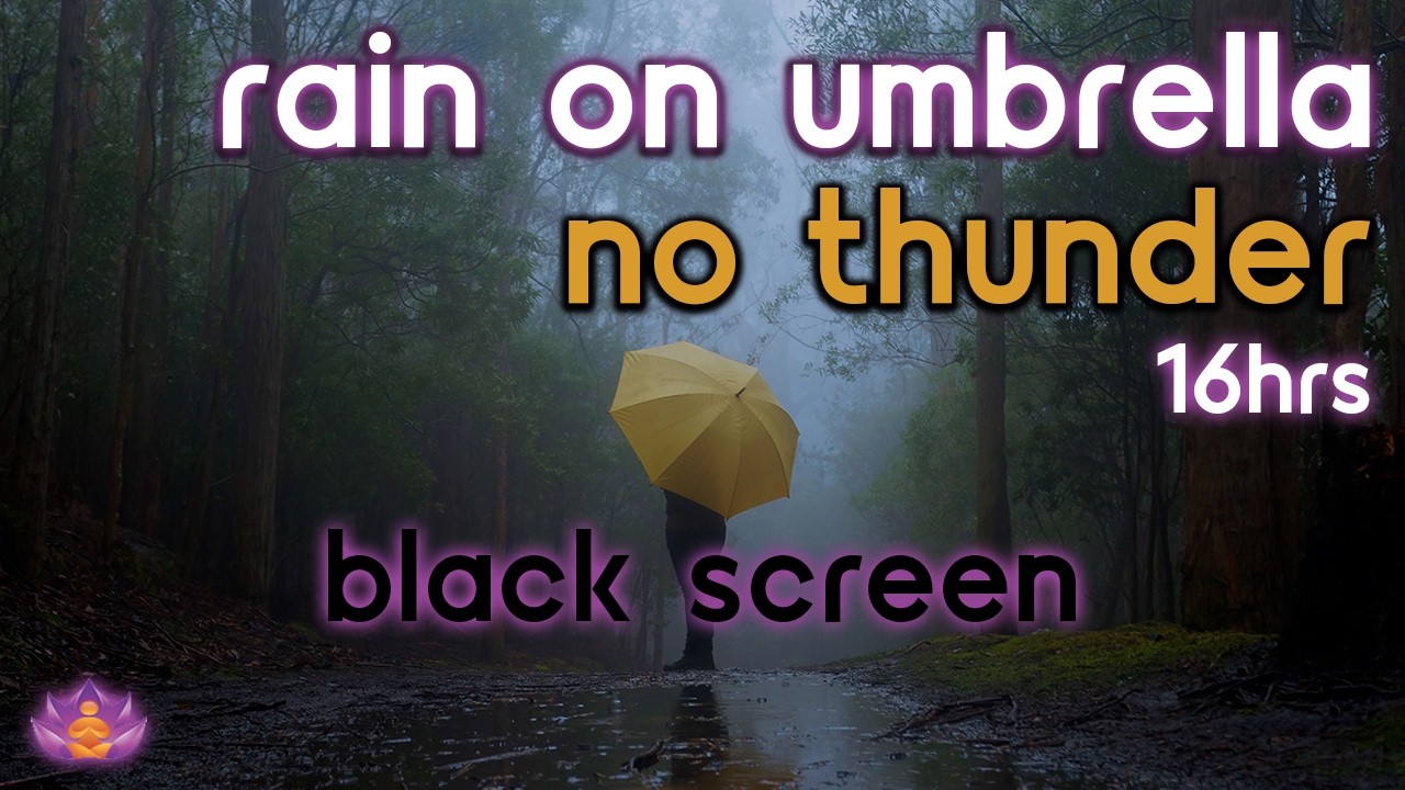 [Black Screen] Rain on Umbrella No Thunder | Rain Ambience | Rain Sounds for Sleeping