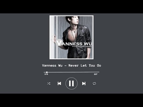 vanness-wu---never-let-you-go-/-吳建豪---never-let-you-go-(chinese/pinyin/english-lyrics)