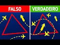 Fatos sobre o Triângulo das Bermudas que desafiam o status quo