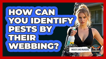 How Can You Identify Pests By Their Webbing? - Insects and Invaders