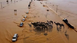 The desert is sinking! ⚠️ Crazy storm turned Saudi desert into a big lake