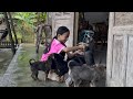 Ngoc Han saves puppies in the forest - the raising process - Poor girl