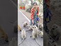 Jism Tera Sone ka Moti
