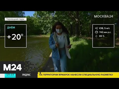 "Утро": до 20 градусов тепла ожидается в Москве в пятницу - Москва 24