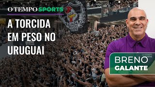 Galo: Breno Galante Se Impressiona Com 